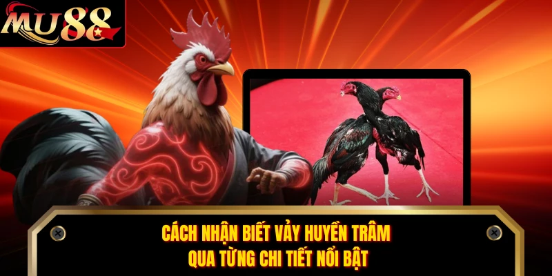 Cách nhận biết vảy huyền trâm qua từng chi tiết nổi bật 