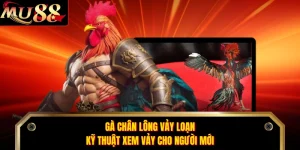Gà Chân Lông Vảy Loạn - Kỹ Thuật Xem Vảy Cho Người Mới