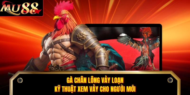 Gà Chân Lông Vảy Loạn - Kỹ Thuật Xem Vảy Cho Người Mới