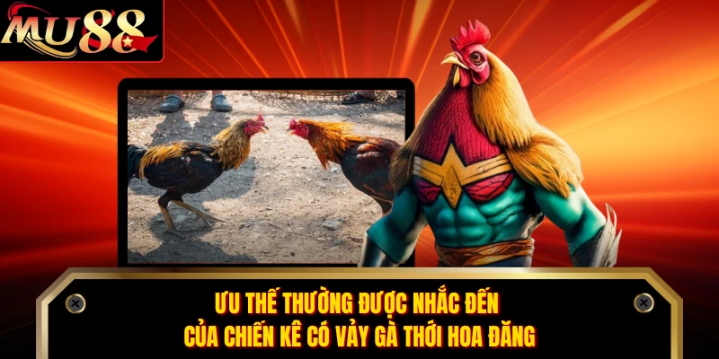 Ưu thế thường được nhắc đến của chiến kê có vảy gà thới hoa đăng 